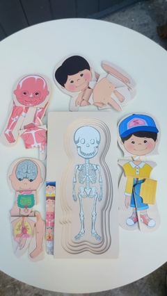 ENCASTRE CUERPO HUMANO EN CAPAS - tienda online
