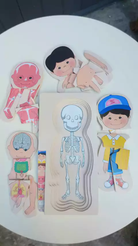 ENCASTRE CUERPO HUMANO EN CAPAS - comprar online