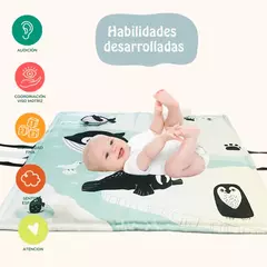 MANTA SENSORIAL ALTOS CONTRASTES en internet