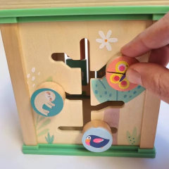 CUBO MULTIACTIVIDADES CAR