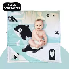 MANTA SENSORIAL ALTOS CONTRASTES - comprar online
