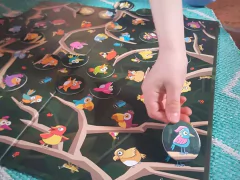 Veo Veo Pajaritos en internet