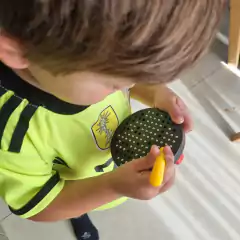 MAGNIFIC PAD ROUND - Tienda de Cositas