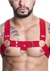Harness em Elástico Vermelho Com Metal HE001V  | Segredos Sex Shop | Imagem