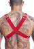 Harness em Elástico Vermelho Com Metal HE001V  | Segredos Sex Shop | Imagem