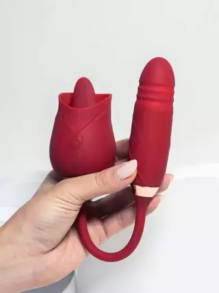 Vibrador De Luxo Clitoriano e Vai e Vem Língua USB