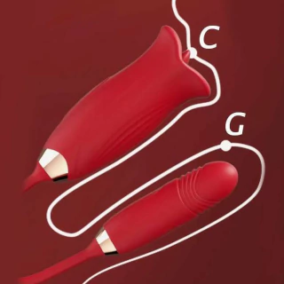 Vibrador Sobe Desce Com Estimulador De Boca - comprar online