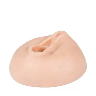 Porta Caneta Erótica Vagina