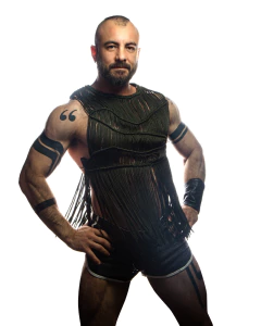 Imagen de Remera Hanging