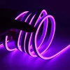 Luces Neon Tira Led Flexible Color Fijo 5mts Exterior 12v Luz Violeta - comprar online