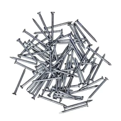 Pregos Polidos com cabeça 10 x 10