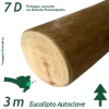 Viga de Eucalipto Autoclave Diâmetro de 7 x 300 cm