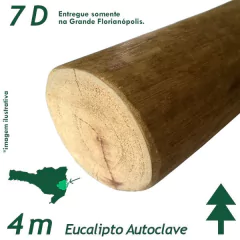 Viga de Eucalipto Autoclave Diâmetro de 7 x 400 cm