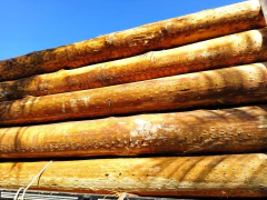 Viga de Eucalipto Autoclave Diâmetro de 17 x 300 cm - comprar online