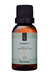 Essência Hidrossolúvel Bamboo - 30ml