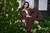 Imagen de FIERCE JACKET