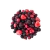 Frutos del Bosque x 1kg - Biomac