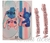 Kit lonita termocolante stitch casal listra com plaquinha havaianas