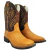 Bota Masculina West Country Whisky Ref.81268 na internet