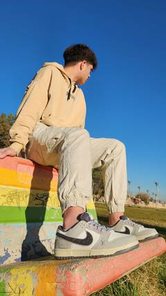 DUNK Louis Vuitton gris - comprar online