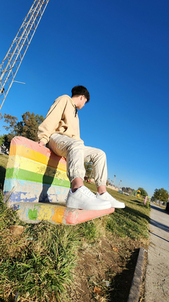 AIR FORCE 1 blanco en internet