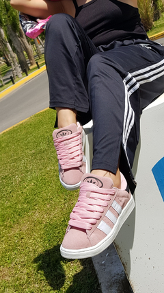 Campus 00s rosa en internet