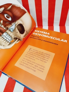Libro El Cuerpo Humano en 3D de Lexus en internet