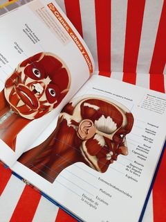 Imagen de Libro El Cuerpo Humano en 3D de Lexus
