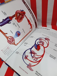 Libro El Cuerpo Humano en 3D de Lexus