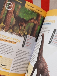 Libro 365 Dinosaurios y Otros Animales Prehistóricos de Guadal (2853) - tienda online