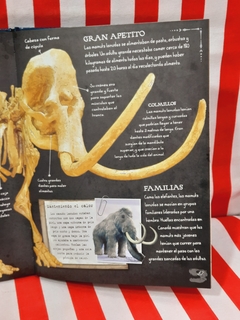 Libro Colección de Dinosaurios y otros animales prehistóricos de Lexus - Libreria Pincelada