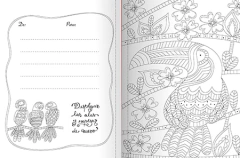 Libro Energia Animal para colorear, ColoreARTE - LATINBOOKS - 4520* - Libreria Pincelada