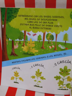 Libro de Cuentos Educativo - Colección Historias de la Naturaleza - LATINBOOKS - 4025* - tienda online