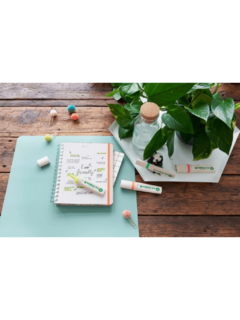 Resaltador Ecológico E24 - EDDING - 007506 - comprar online