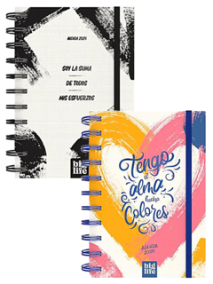 Agenda Arte 2025 - DIA x HOJA - 15 x 21 - BIG LIFE - (237260)
