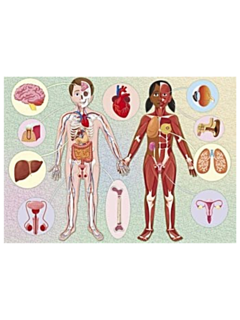 Libro El Cuerpo Humano de Manolito - comprar online