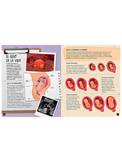 Libro El Cuerpo Humano de Manolito en internet