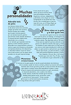 Libros Stickers Mundo Animal - Colección 365 Stickers- CONCEPTO LATINBOOKS - 1312*