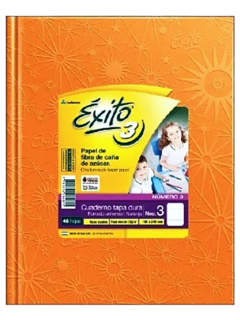 Cuaderno N°3 x 100 HS Rayadas de Exito (011613)