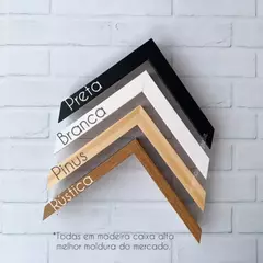 TRIO DE QUADROS ANIMAIS AQUARELADO COM NOME PERSONALIZADO na internet