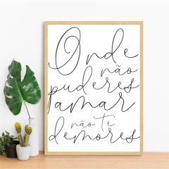 QUADRO ONDE NÃO PUDERES AMAR