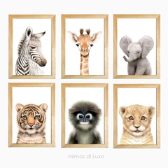 KIT QUADROS MAIS VENDIDOS SAFARI REALISTA AQUARELA