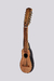 MODELO: CHARANGO STD en internet