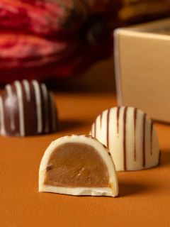 Imagem do Caixa com 9 Bombons Baianí + Pati Piva