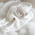 Babucha Osito Ted