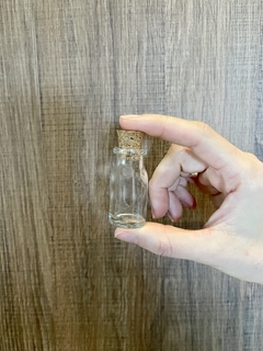 5 x Mini Terrário Petit - comprar online