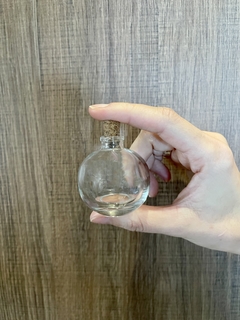 5x Mini Terrário Leonardo na internet
