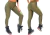 LEG ESCAMA ELASTICO LATERAL