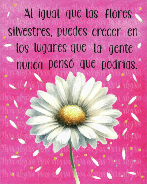 Estampa Al igual, margarita