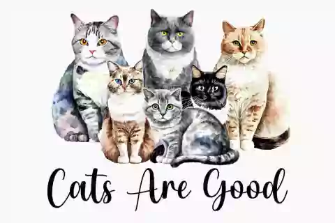 Estampa Gatos Cats are good
